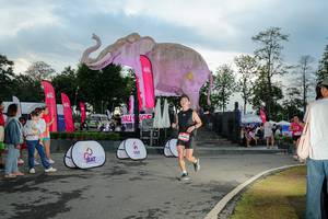 BIB: 
                            <button type="button" onclick="openModal(26529346)" class="btn btn-primary btn-sm float-right btn-popup" data-toggle="modal" data-target=".modal-high-quality">
                        <i class="fas fa-shopping-cart"></i> Add to Cart
                    </button>
                                            <button type="button" onclick="isThisMe(26529346, true)" class="btn btn-success btn-sm float-right btn-popup btn-isme hidden" data-toggle="tooltip" data-placement="bottom" title="นี่คือรูปของคุณใช่ไหม คลิกที่นี่เพื่อเอาเข้าอัลบั้ม">
                        <i class="fas fa-plus"></i> Add to album
                    </button>
                    <button type="button" onclick="isThisMe(26529346, false)" class="btn btn-warning btn-sm float-right btn-popup btn-isnotme hidden">
                        <i class="fas fa-ban"></i> Remove from album
                    </button>